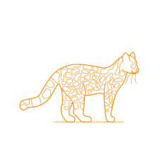 Animals Big Cats Margay Line Tracing Svg Vector, Free Vectors File